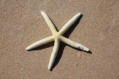 《真三国无双：起源》制作人：对没有加入大乔小乔感到心痛